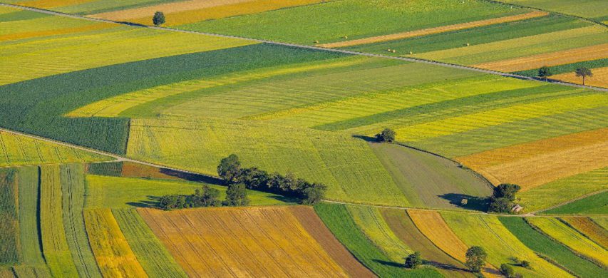 PREZZO-VALORE E TERRENO AGRICOLO